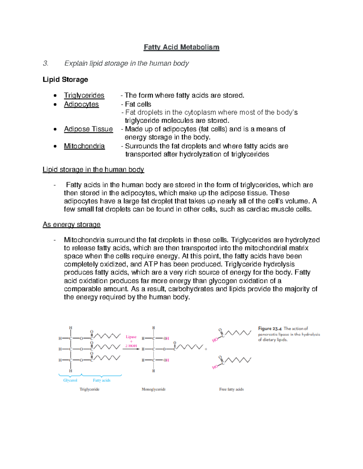 Fatty Acid Metabolism Q 3 4 Fatty Acid Metabolism Explain lipid
