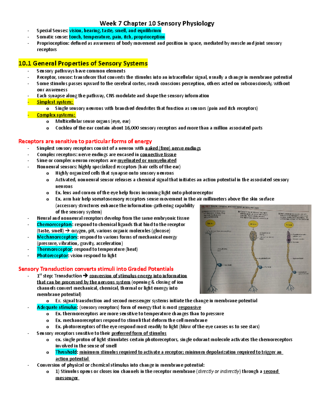 Chapter 10 Sensory Physiology - Week 7 Chapter 10 Sensory Physiology ...