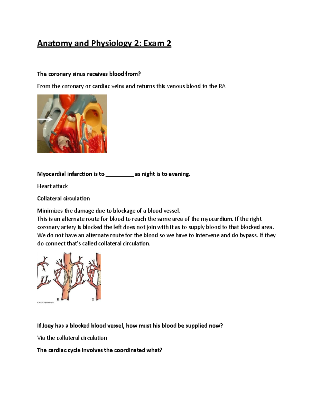 Anatomy And Physiology 2 Exam 2-continued - Anatomy And Physiology 2 ...