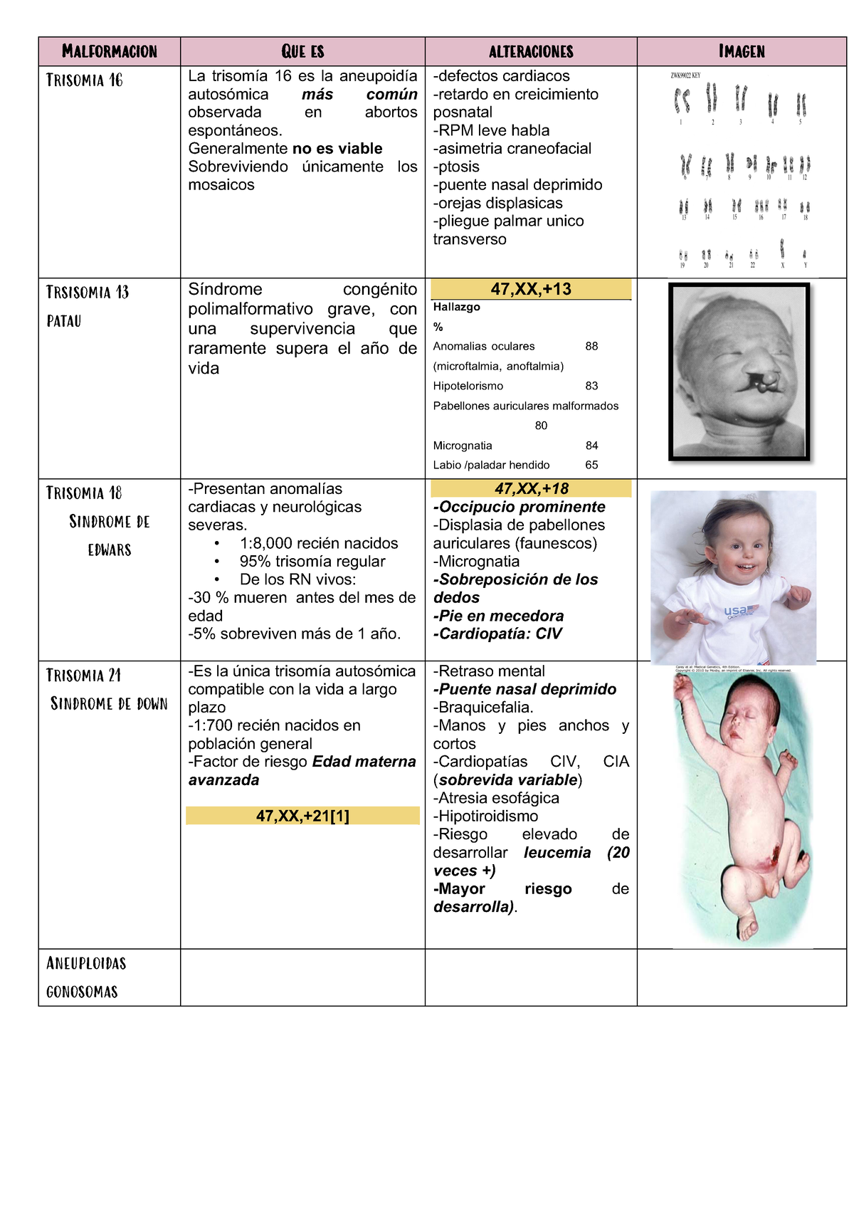 enfermedades-y-malformaciones-malformacion-que-es-alteraciones-imagen