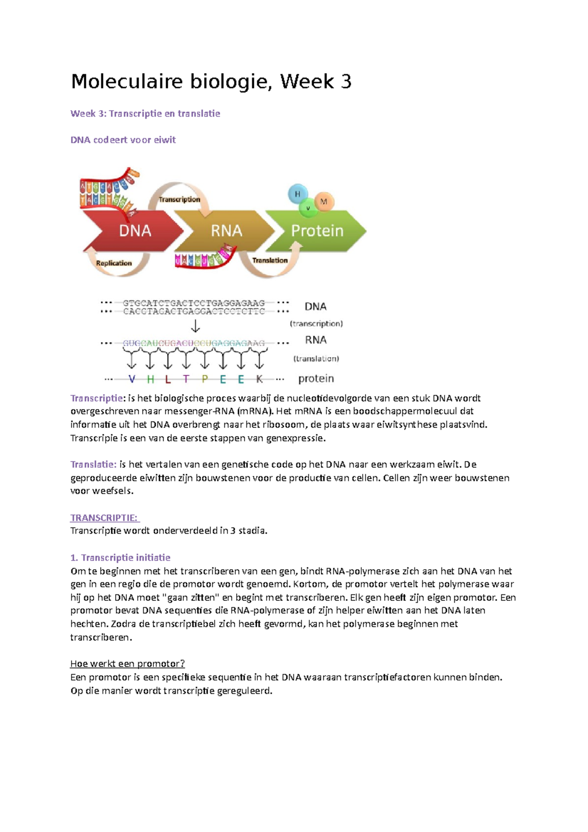 Moleculaire Biologie Week 3 - Het MRNA Is Een Boodschappermolecuul Dat ...