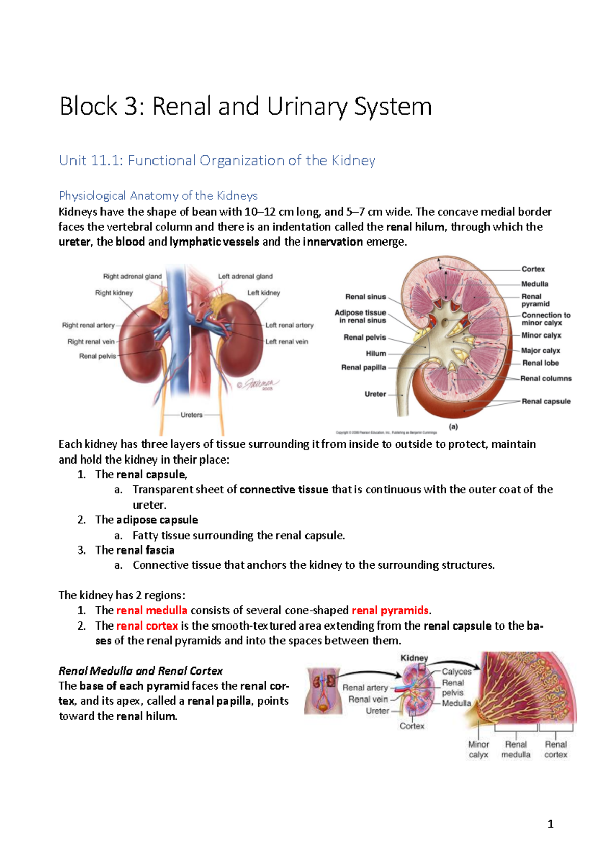 [ Final] Script - Renal Physiology IV - Block 3: Renal and Urinary ...