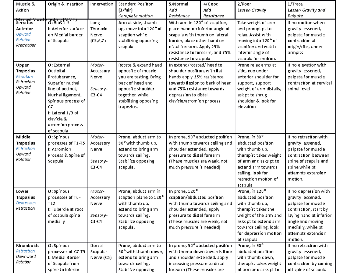 mmt-chart-lecture-notes-3-4-5-6-manual-muscle-testing-mmt