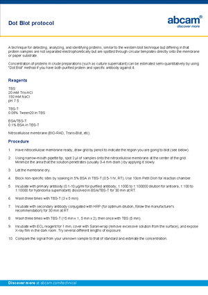 Dot Blot Protocol (Revised) - Dot Blot Protocol (Revised) Antibody ...