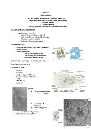 Physiology Year 1 Exam, questions and answers essay - Describe the ...