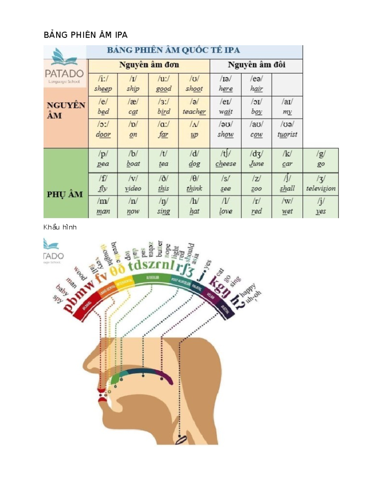 IPA - Pronunciation - BẢNG PHIÊN ÂM IPA Khẩu hình 1. Nguyên âm ngắn Kí ...