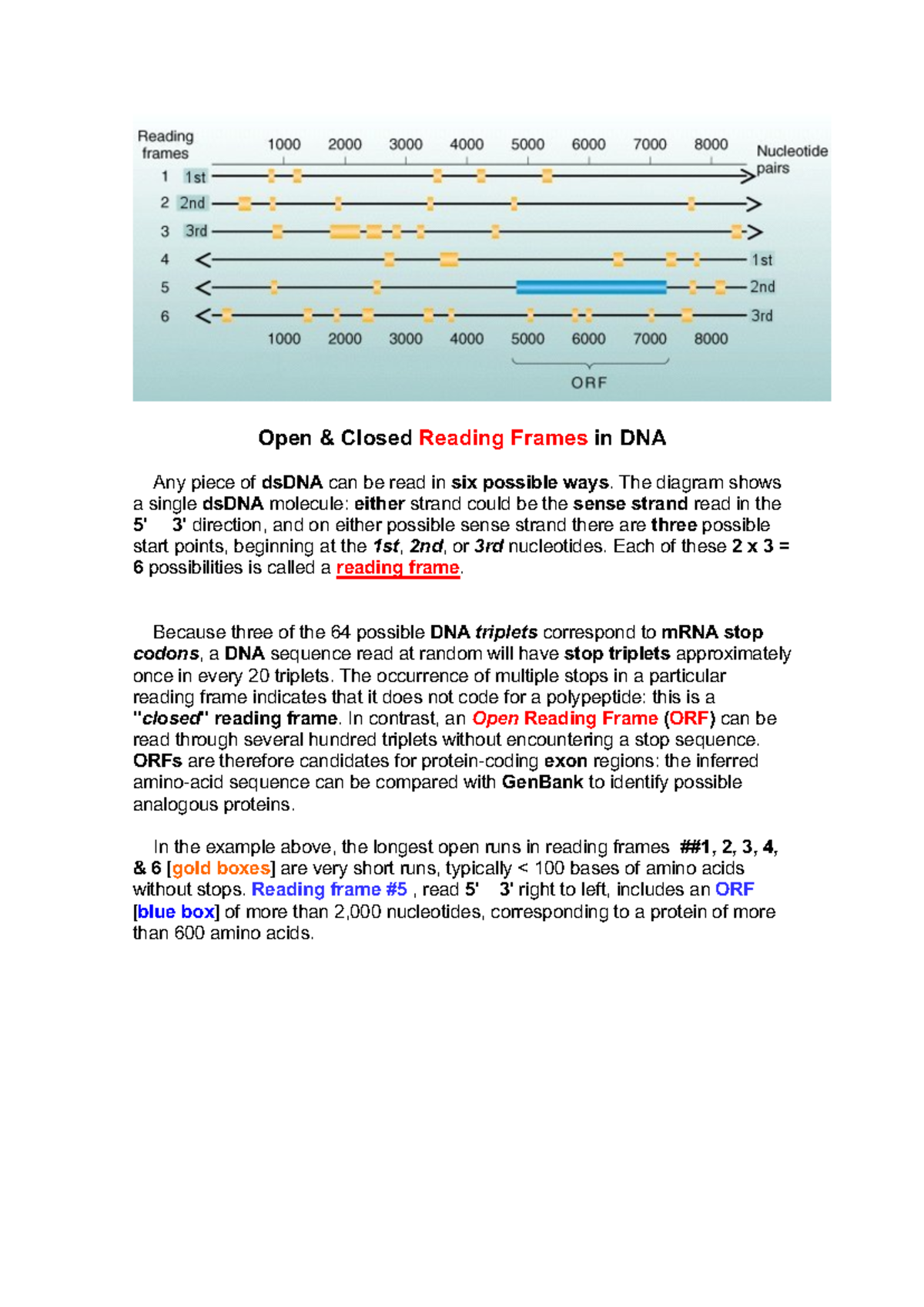 Open. RFs - hooa - Open & Closed Reading Frames in DNA Any piece of ...
