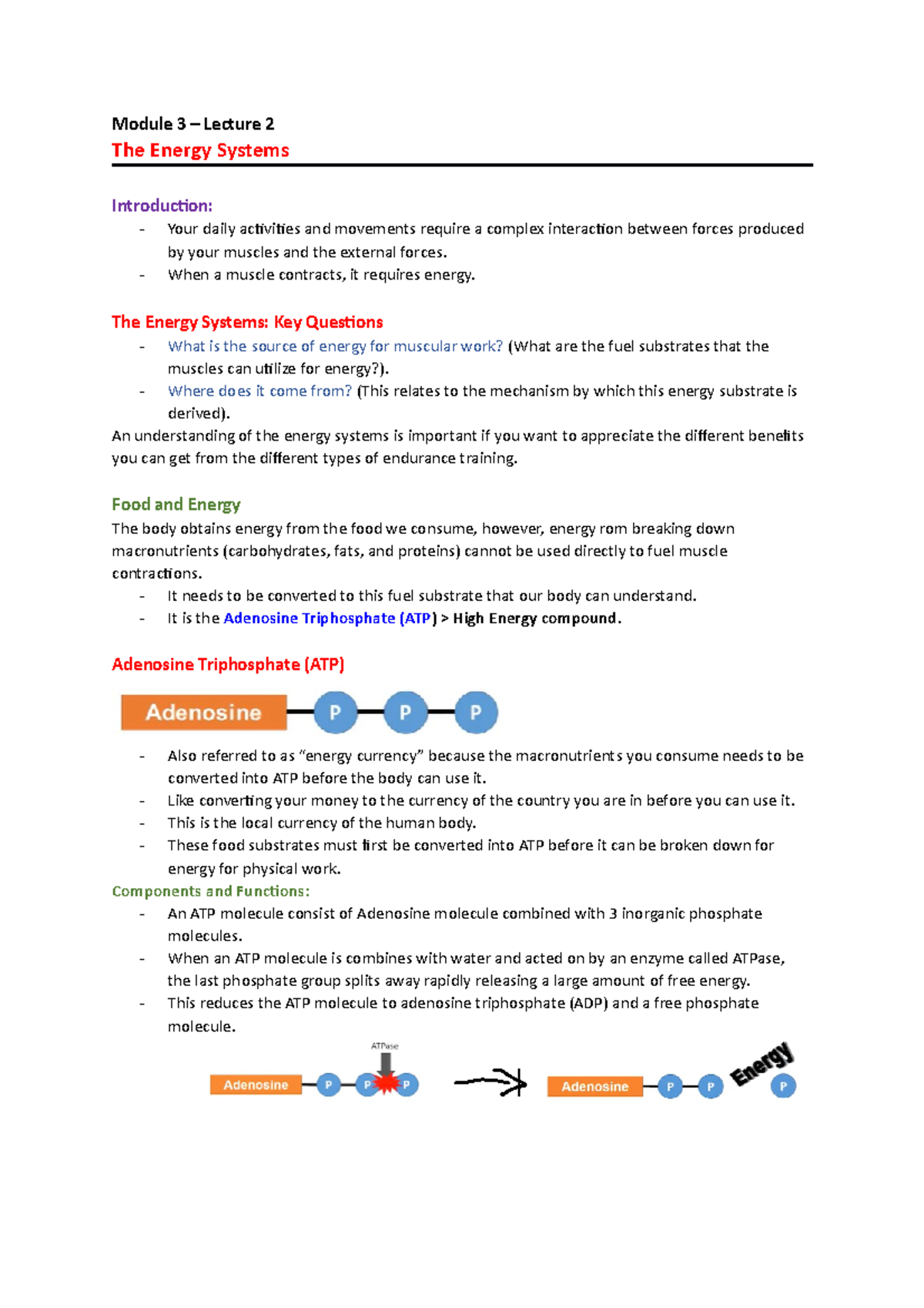 Module 3 - Lecture 2 - Module 3 – Lecture 2 The Energy Systems ...