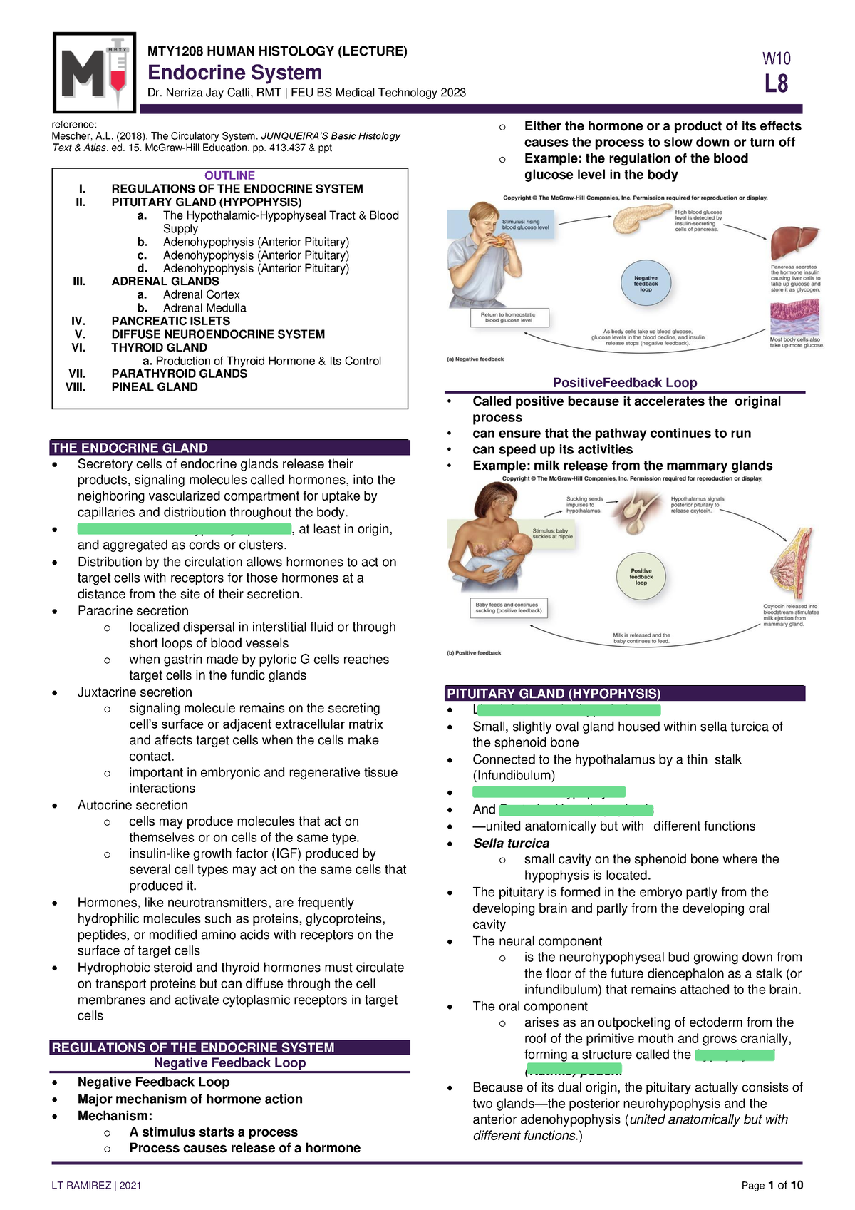 Lesson 8 Endocrine System 230816 100627 - Endocrine System Dr. Nerriza ...