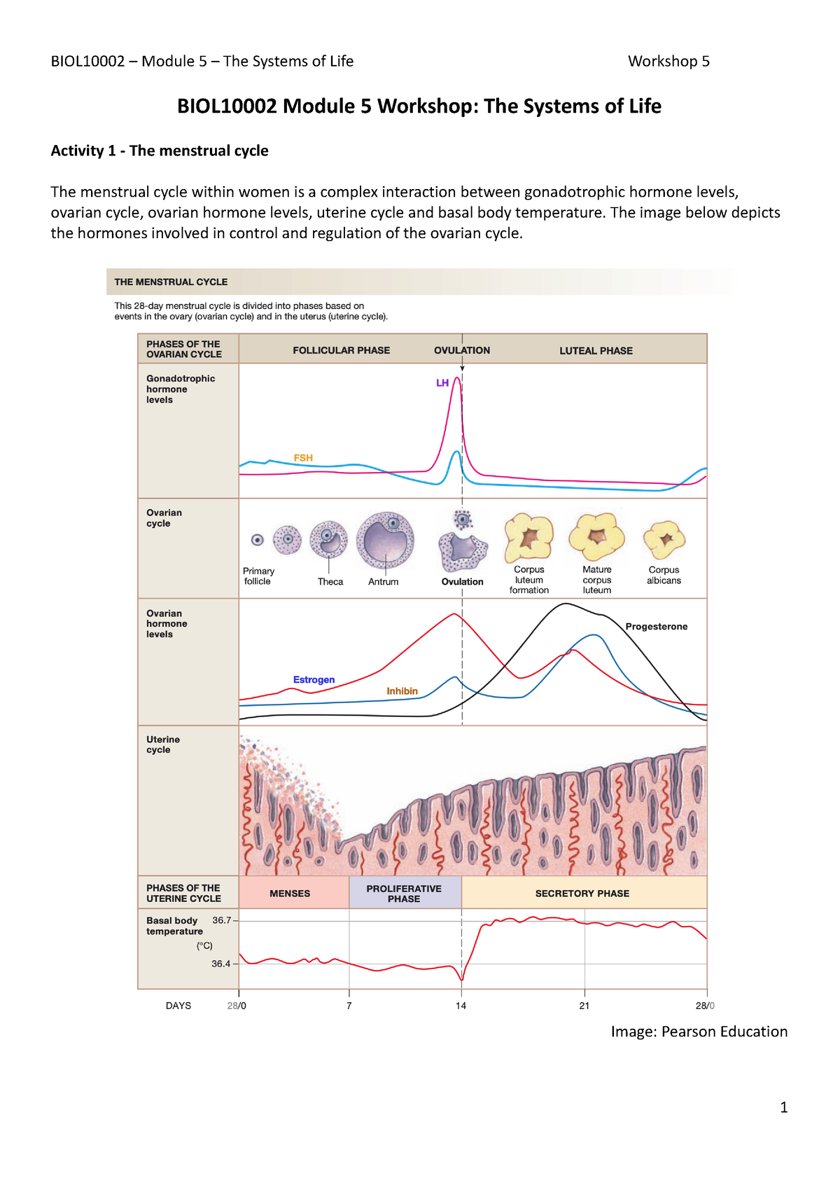 BIOL10002 Module 5 Workshop - BIOL10002 Module 5 Workshop: The Systems ...