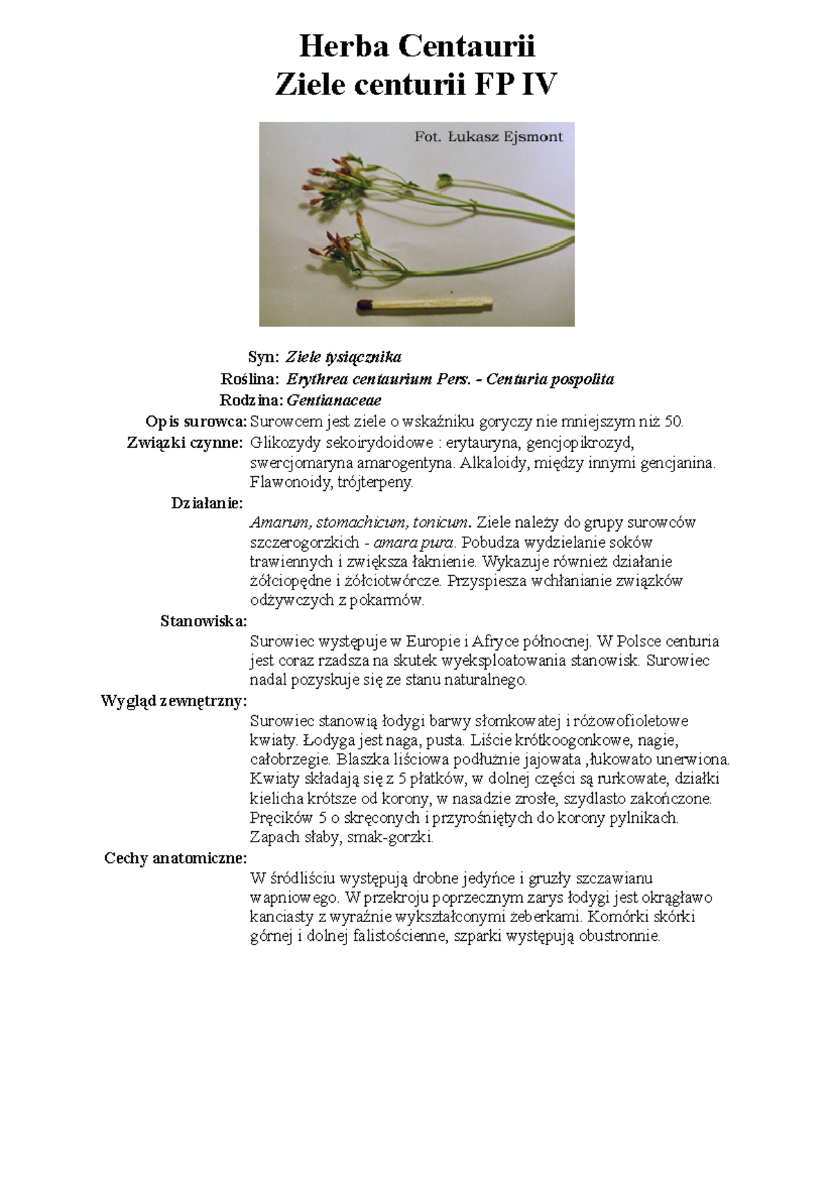 Herba Centaurii - Herba Centaurii Ziele centurii FP IV Syn: Ziele ...