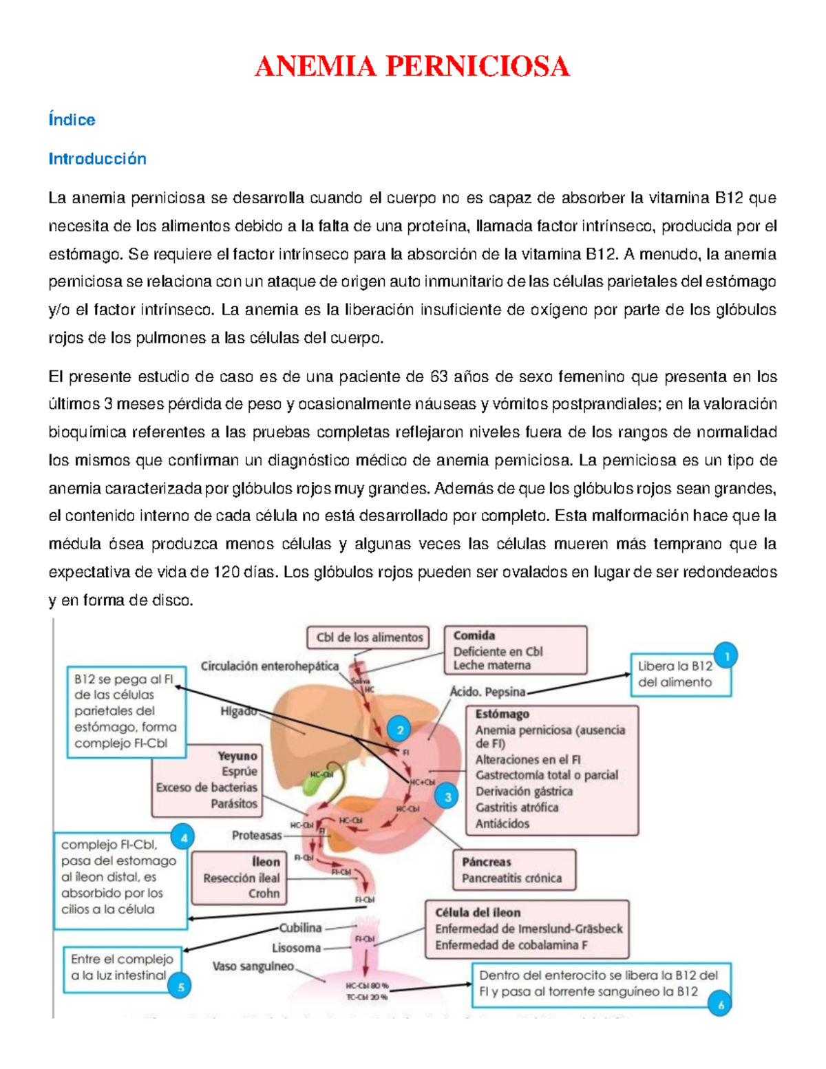 Anemia Perniciosa - ANEMIA PERNICIOSA Índice Introducción La anemia ...