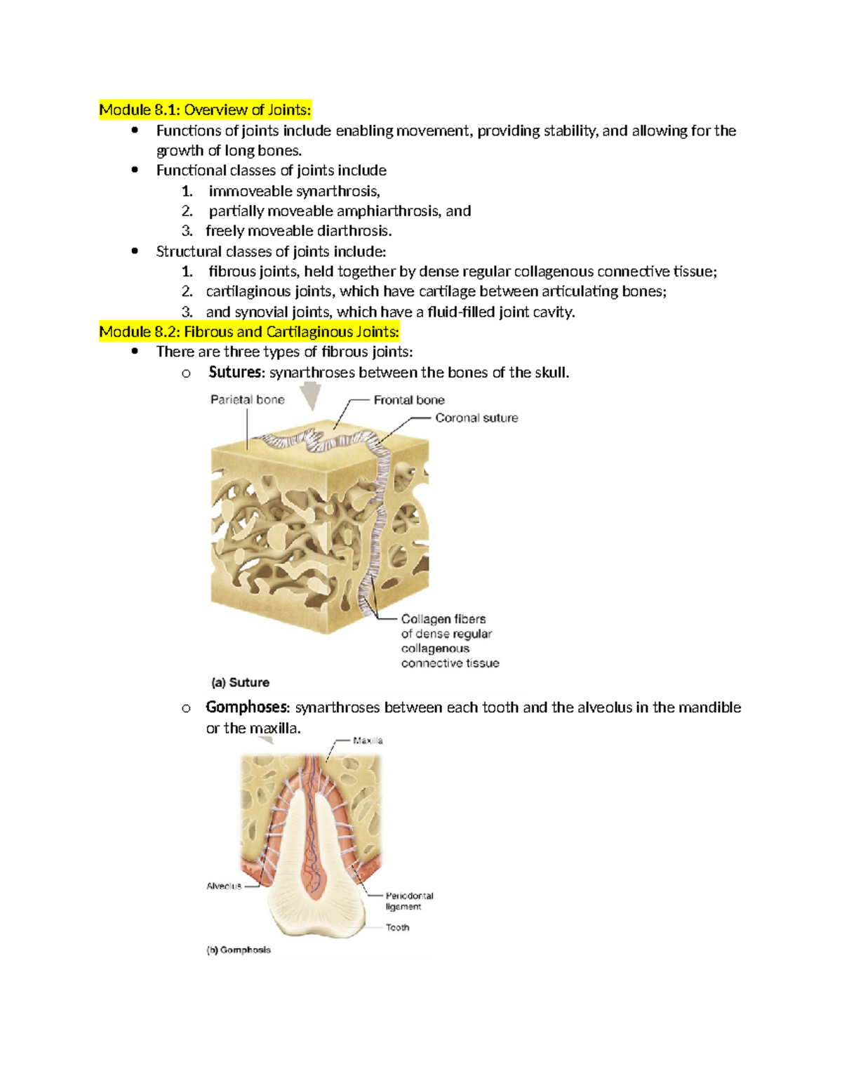 Chapter 8 - summary - Module 8: Overview of Joints: Functions of joints ...