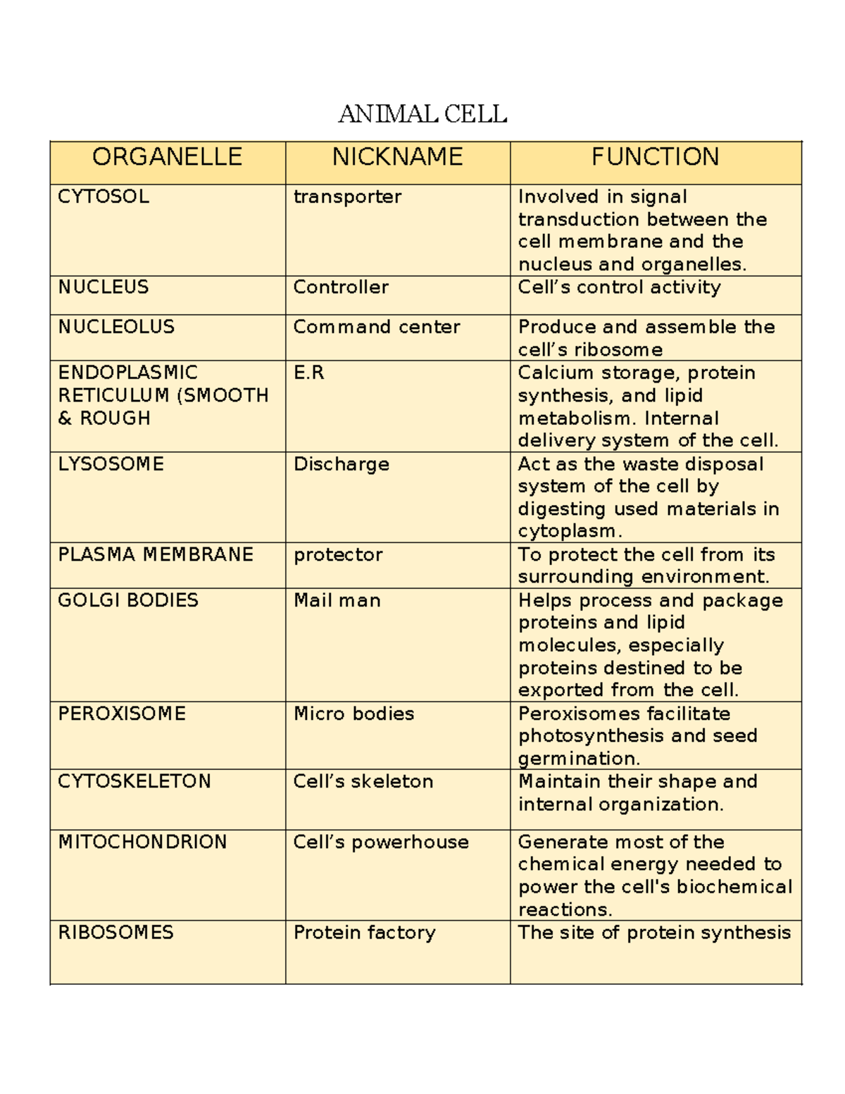 Animal CELL - Summary CE-LAWS - ANIMAL CELL ORGANELLE NICKNAME FUNCTION ...