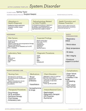 Lithotripsy - ATI template - ACTIVE LEARNING TEMPLATES TherapeuTic ...