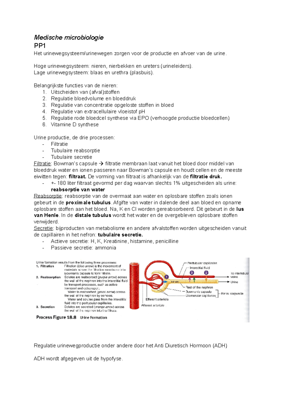 Medische Microbiologie P4 Samenvatting - Medische Microbiologie PP Het ...