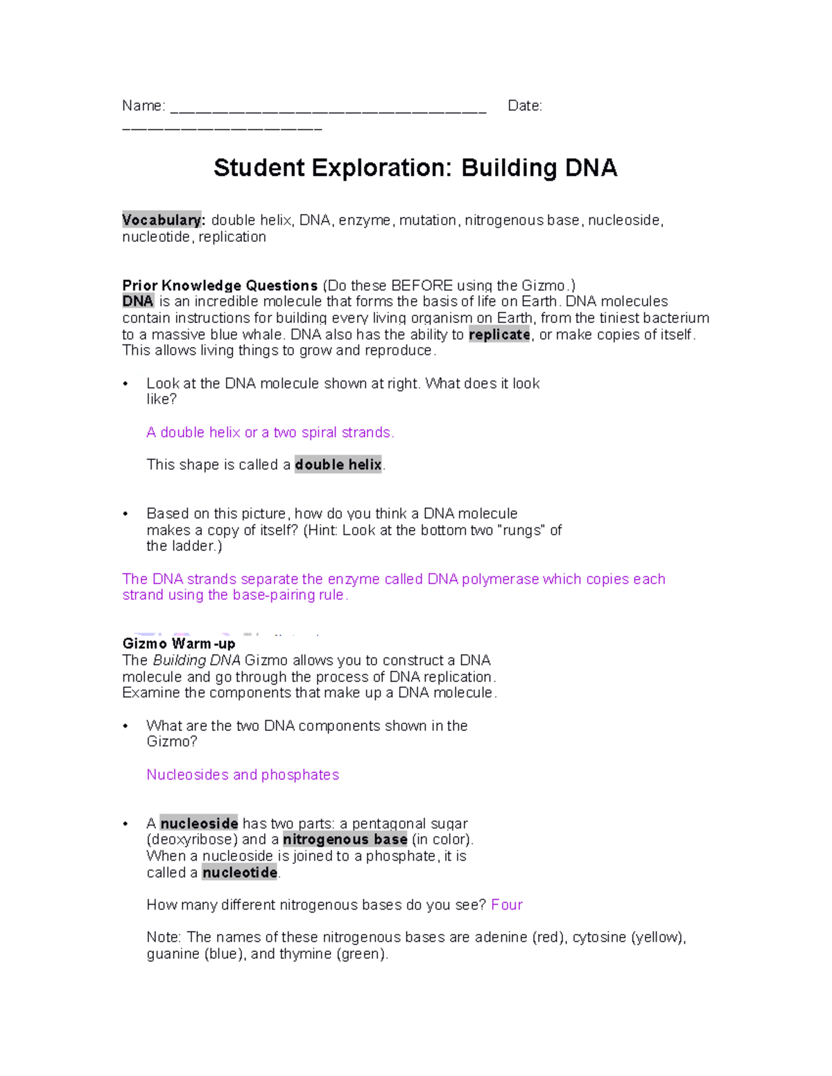 Building Dnase - Summer AP Bio - Name ...