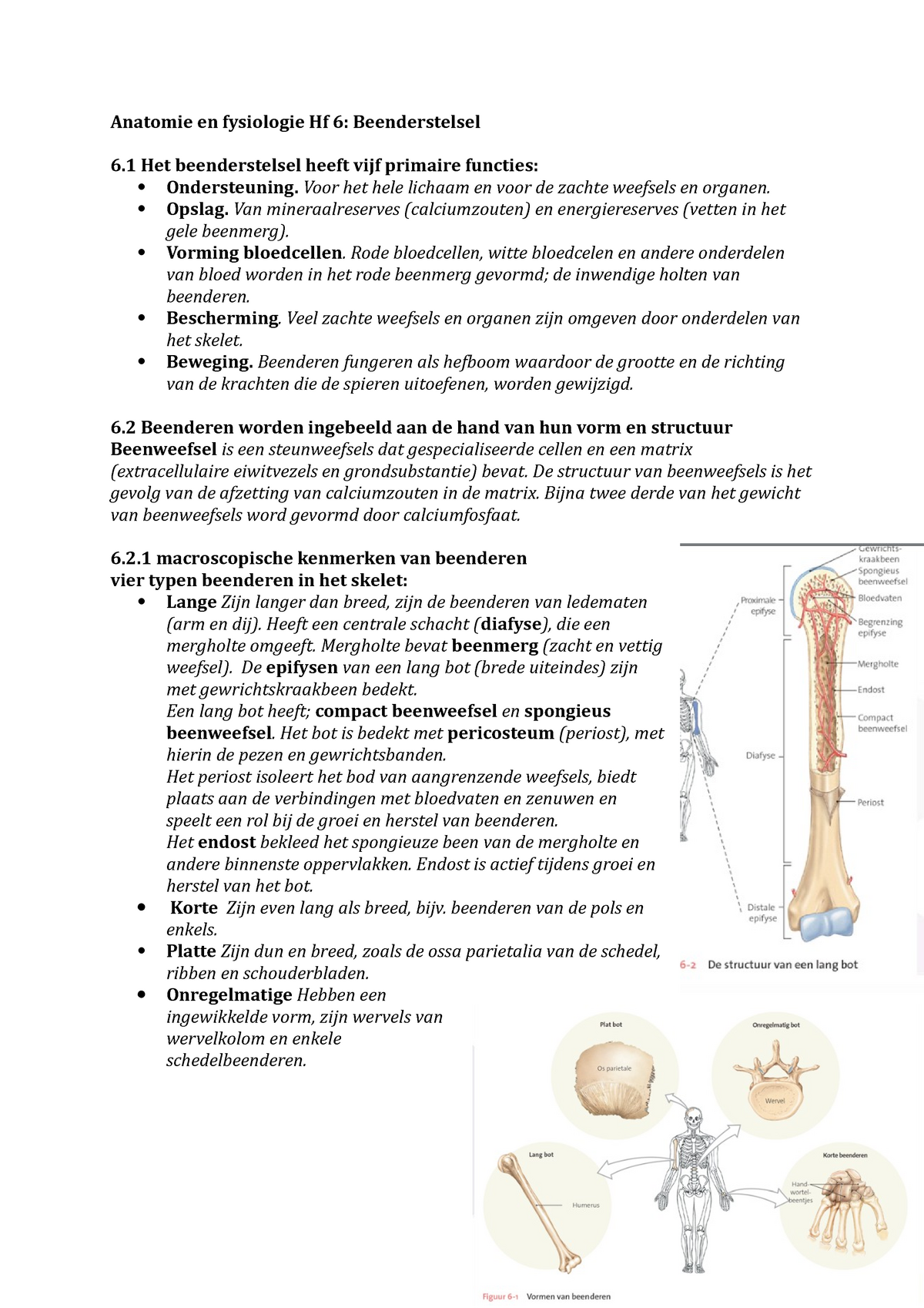 Medische Kennis 1 Samenvatting Anatomie En Studeersnelnl