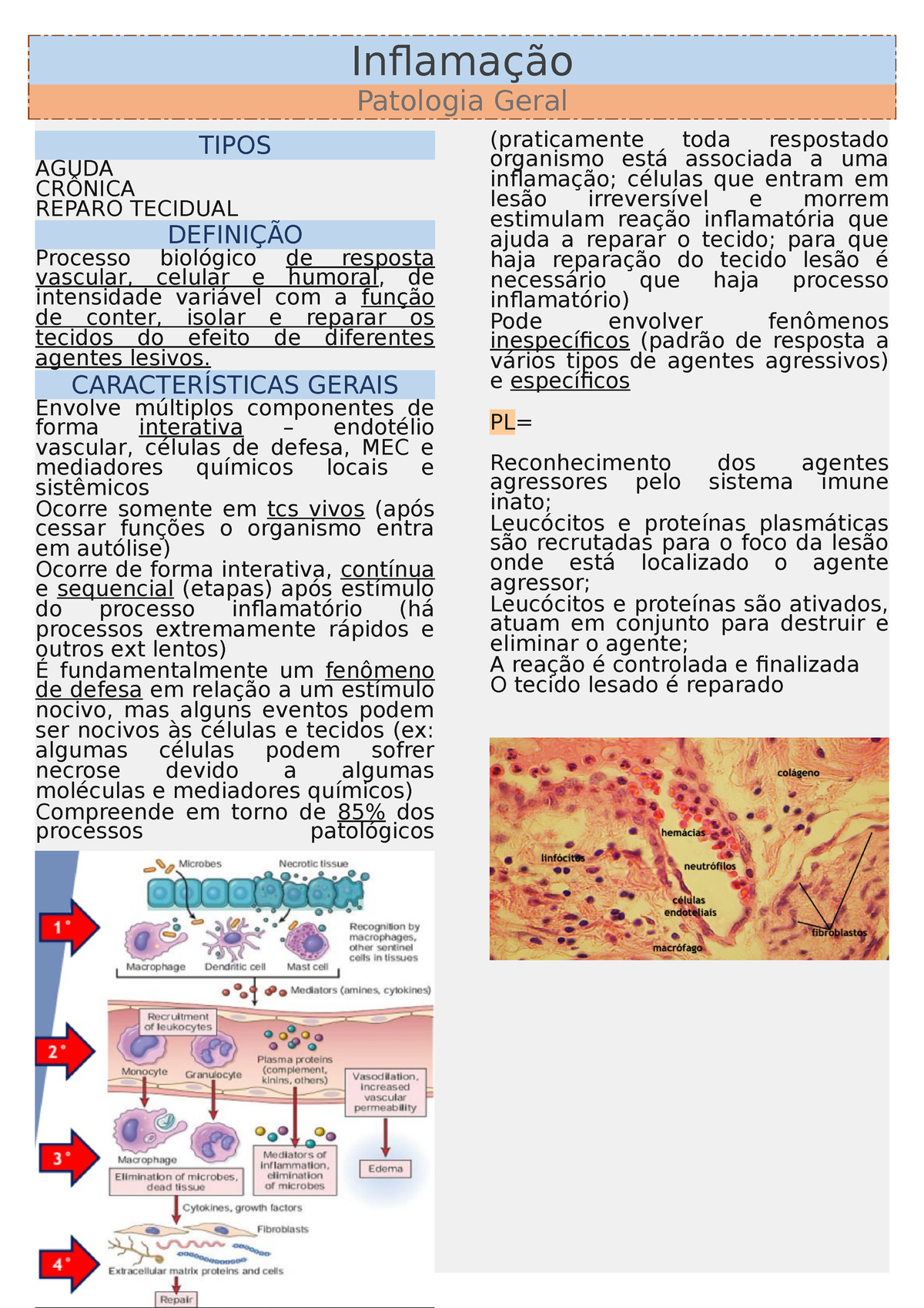 Inflamação - Patologia Geral - Inflamação Patologia Geral TIPOS AGUDA ...