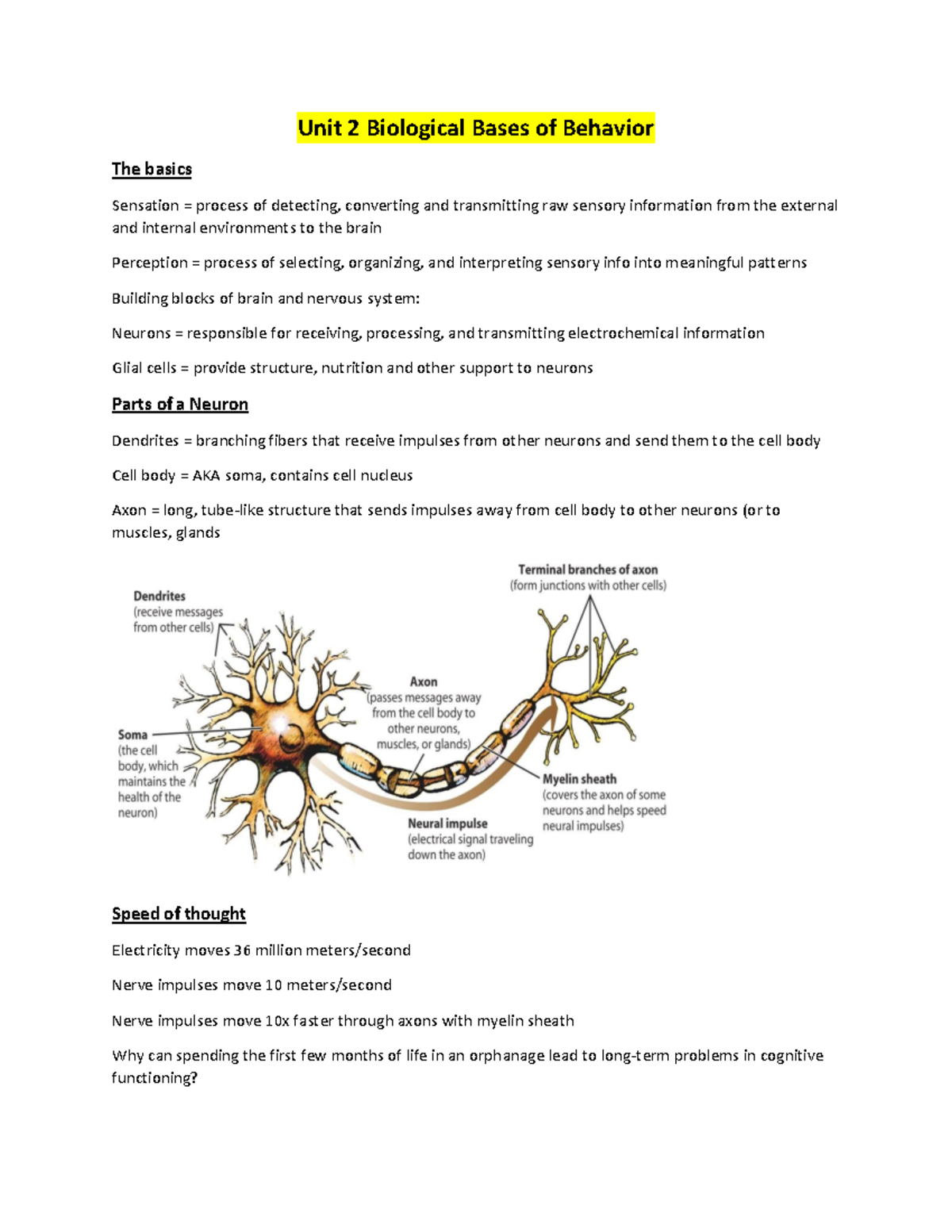 Psychology Lecture(Powerpoint) Notes Unit 2 - Unit 2 Biological Bases ...