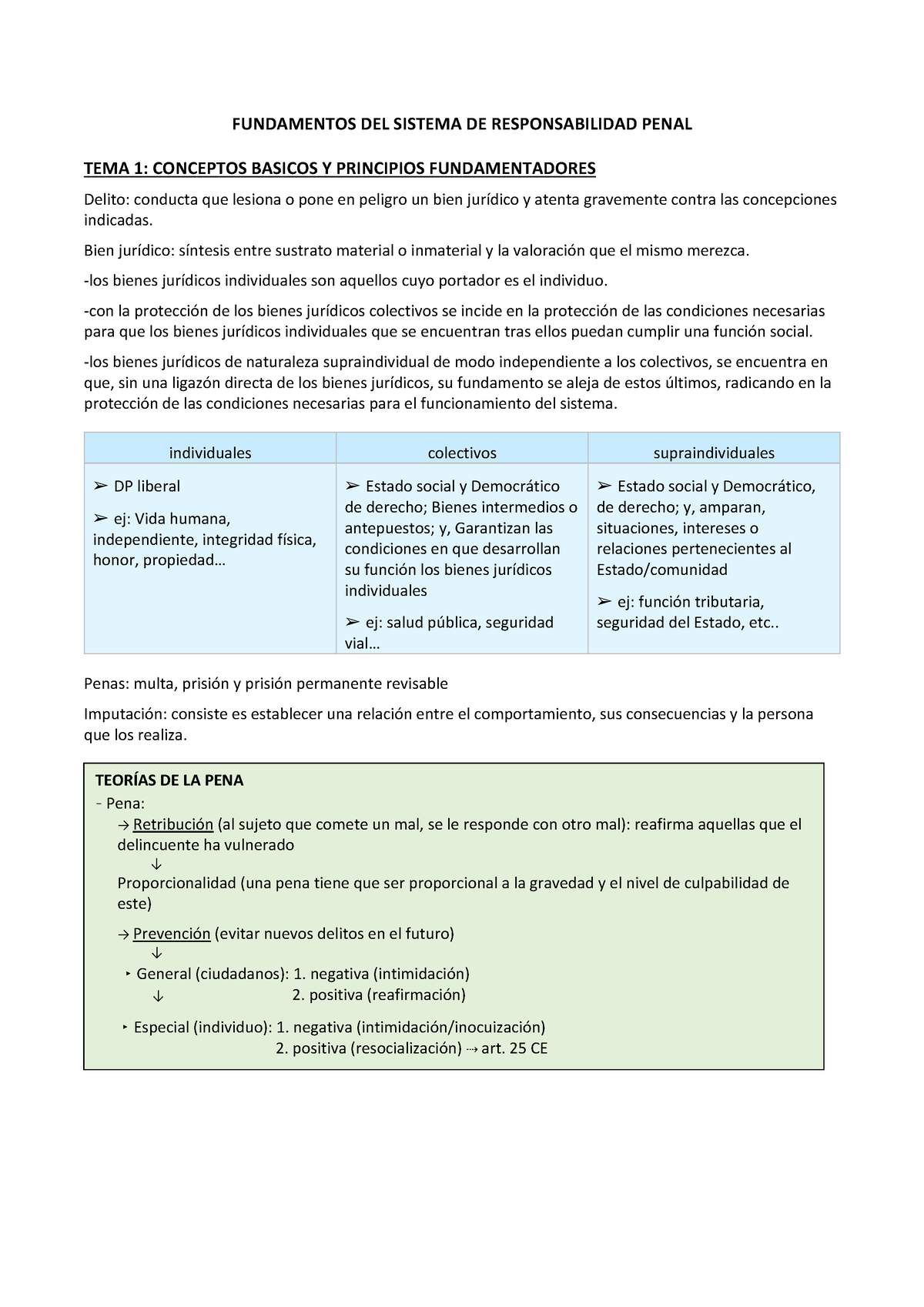 Fundamentos Sistema De Responsabilidad Penal Fundamentos Del