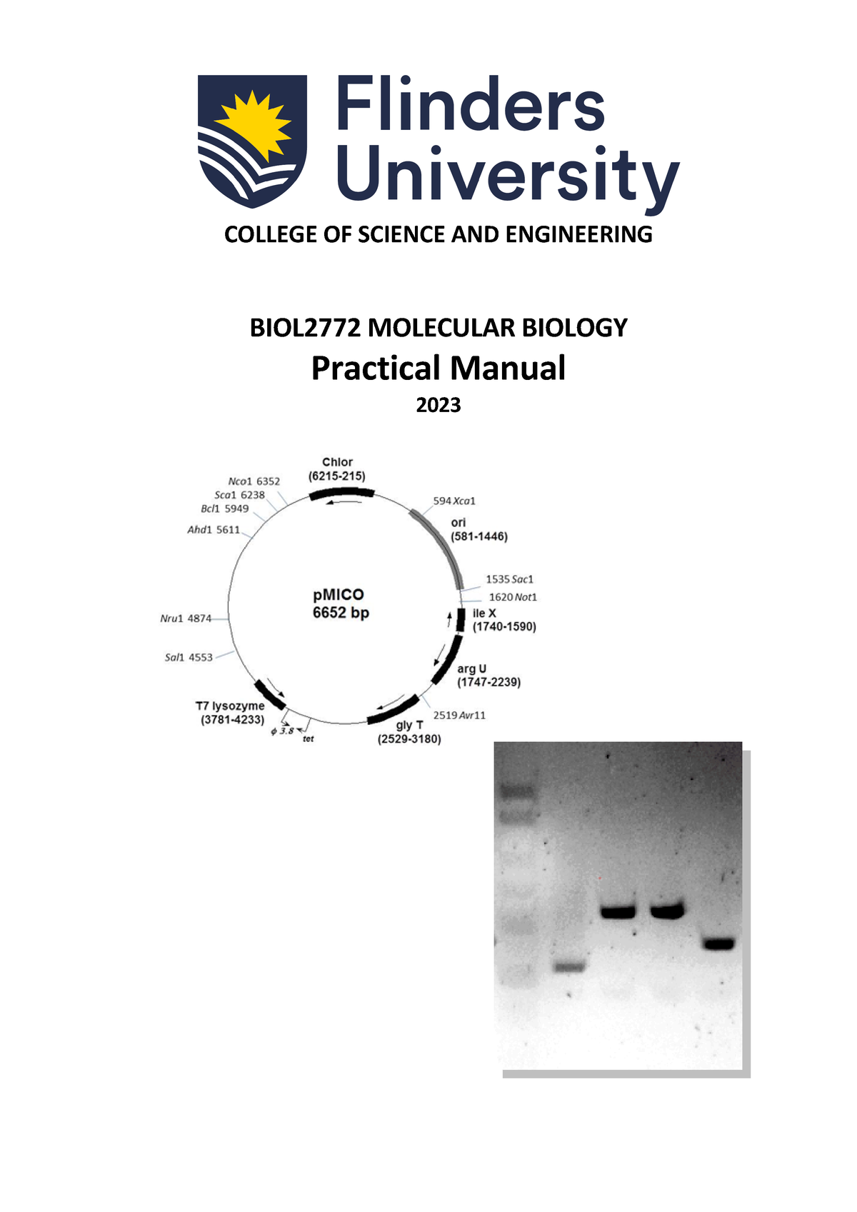 BIOL2772 Prac Manual 2023-1 - COLLEGE OF SCIENCE AND ENGINEERING ...