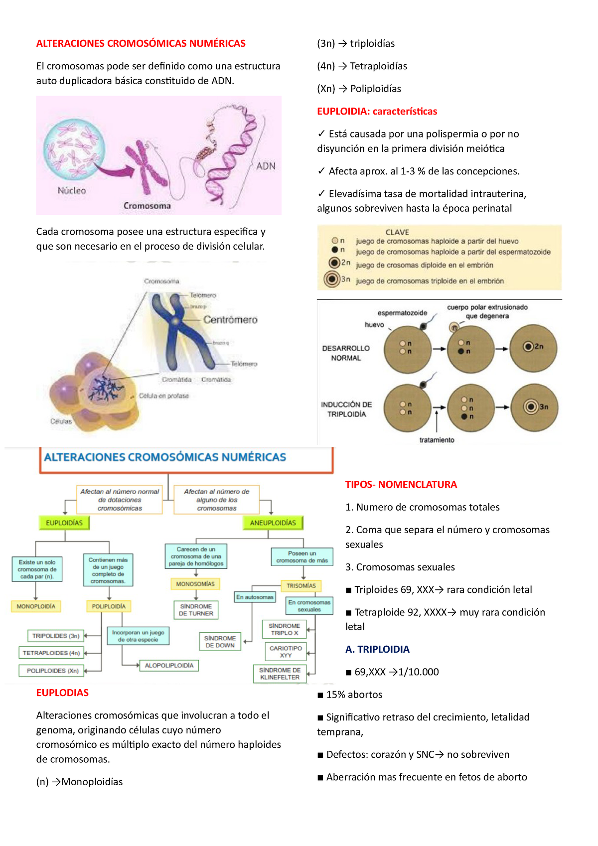 Alteraciones Cromosómicas Numéricas - ALTERACIONES CROMOSÓMICAS ...