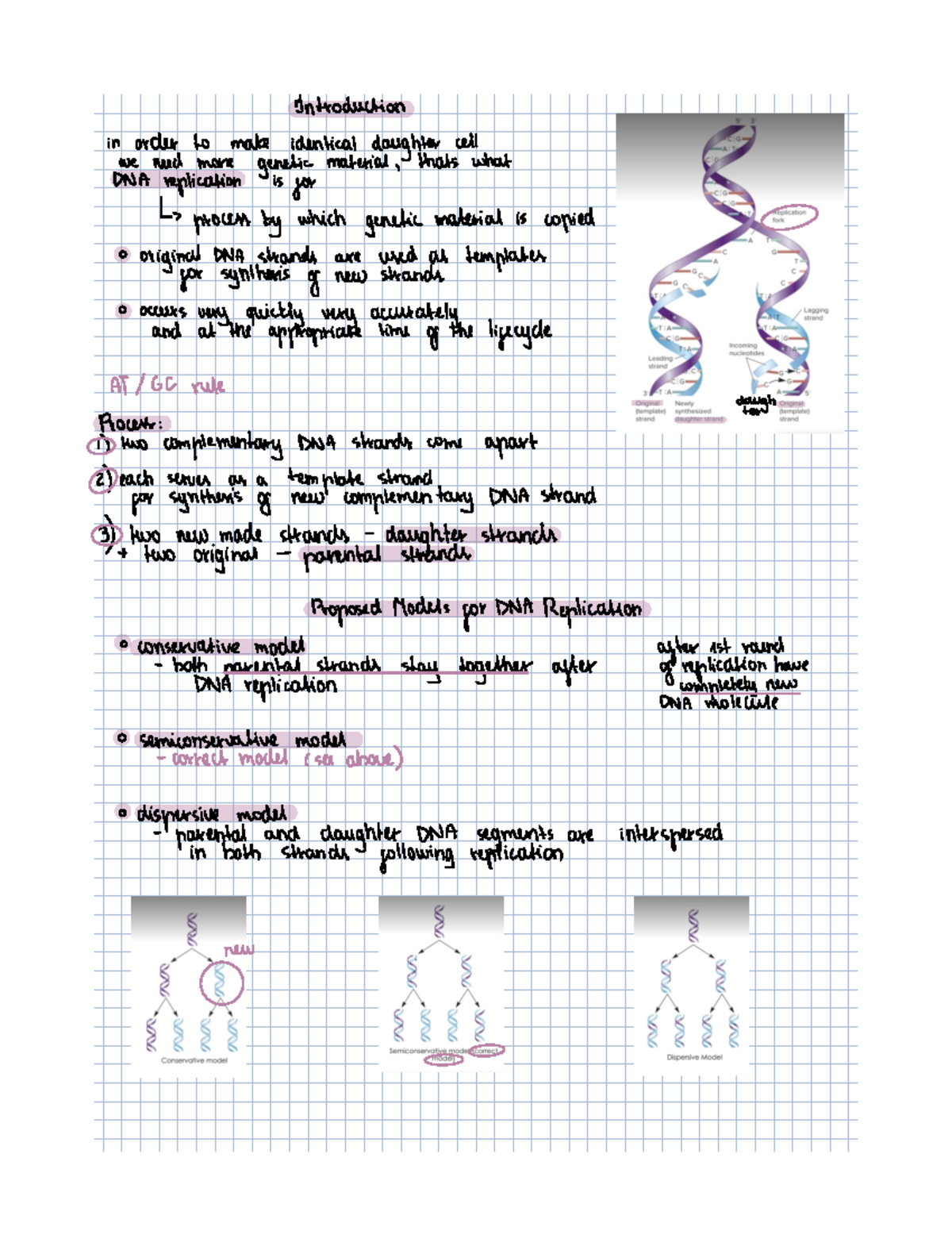 Chapter 11 - DNA Replication Part 1 - Introduction ####### In Order To ...