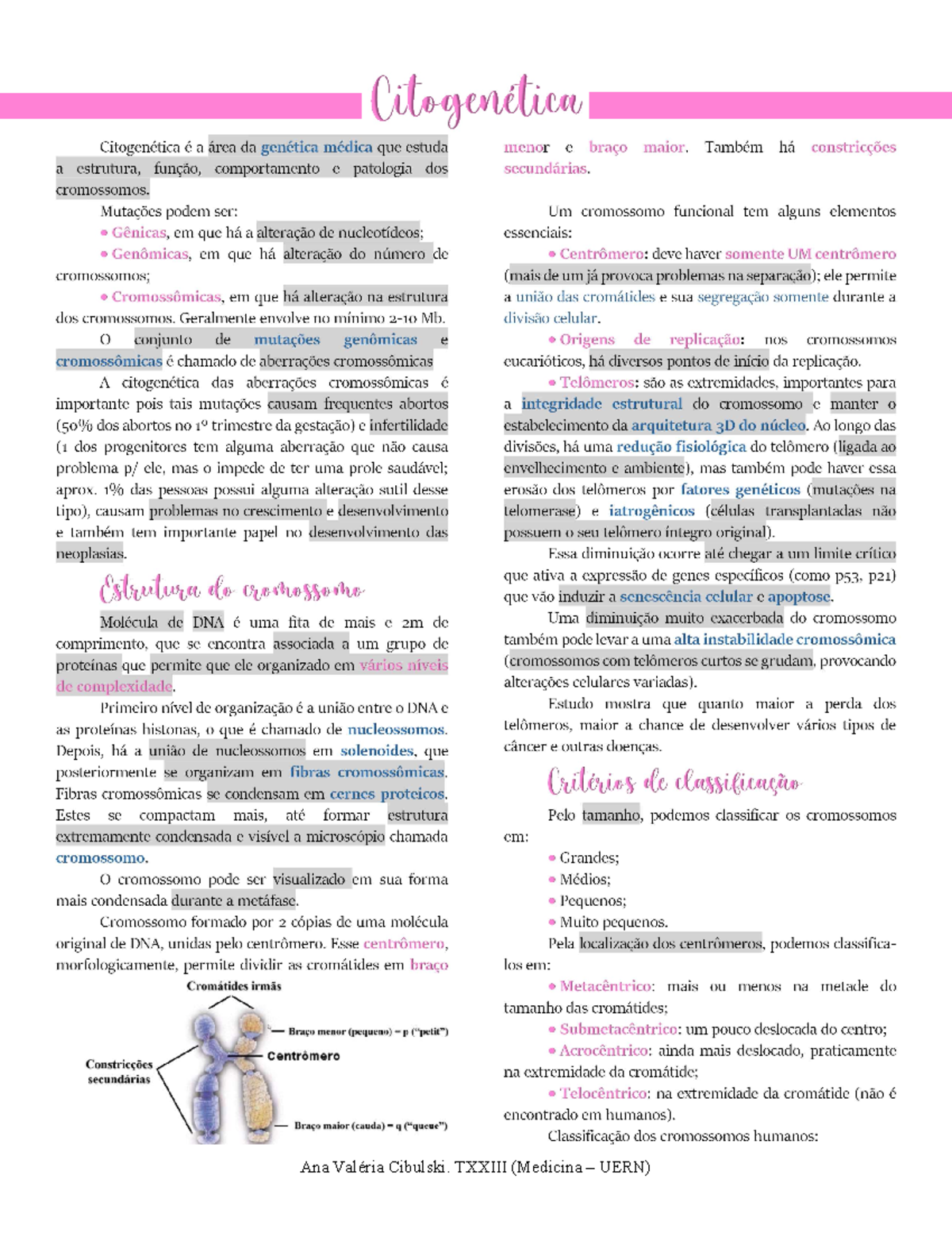 Citogenetica Studocu