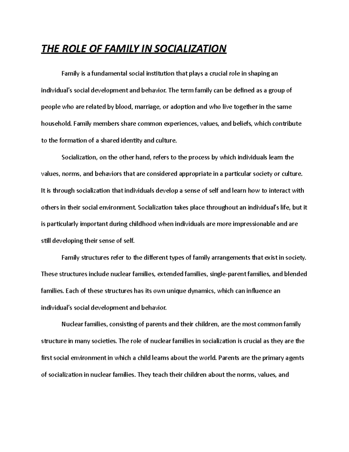 essay on socialization in family