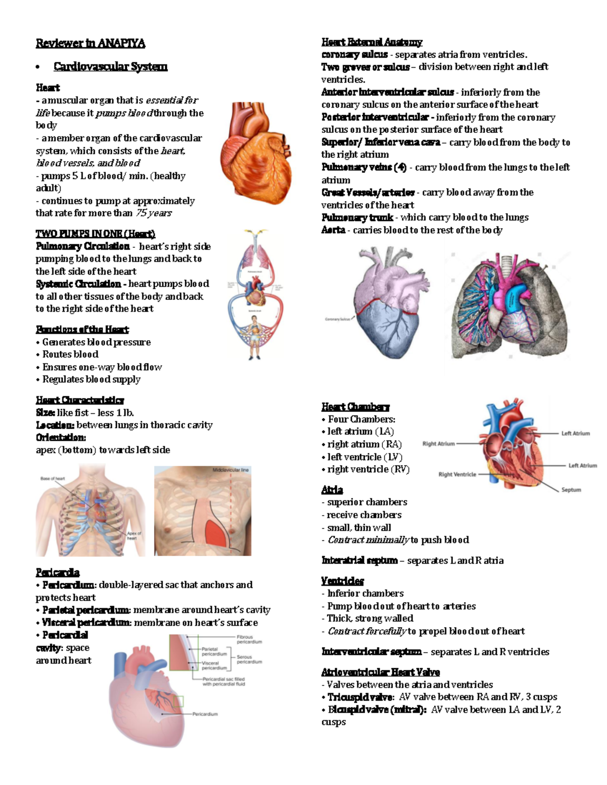 Reviewer in Anapiya finale part 1 - Reviewer in ANAPIYA Cardiovascular ...