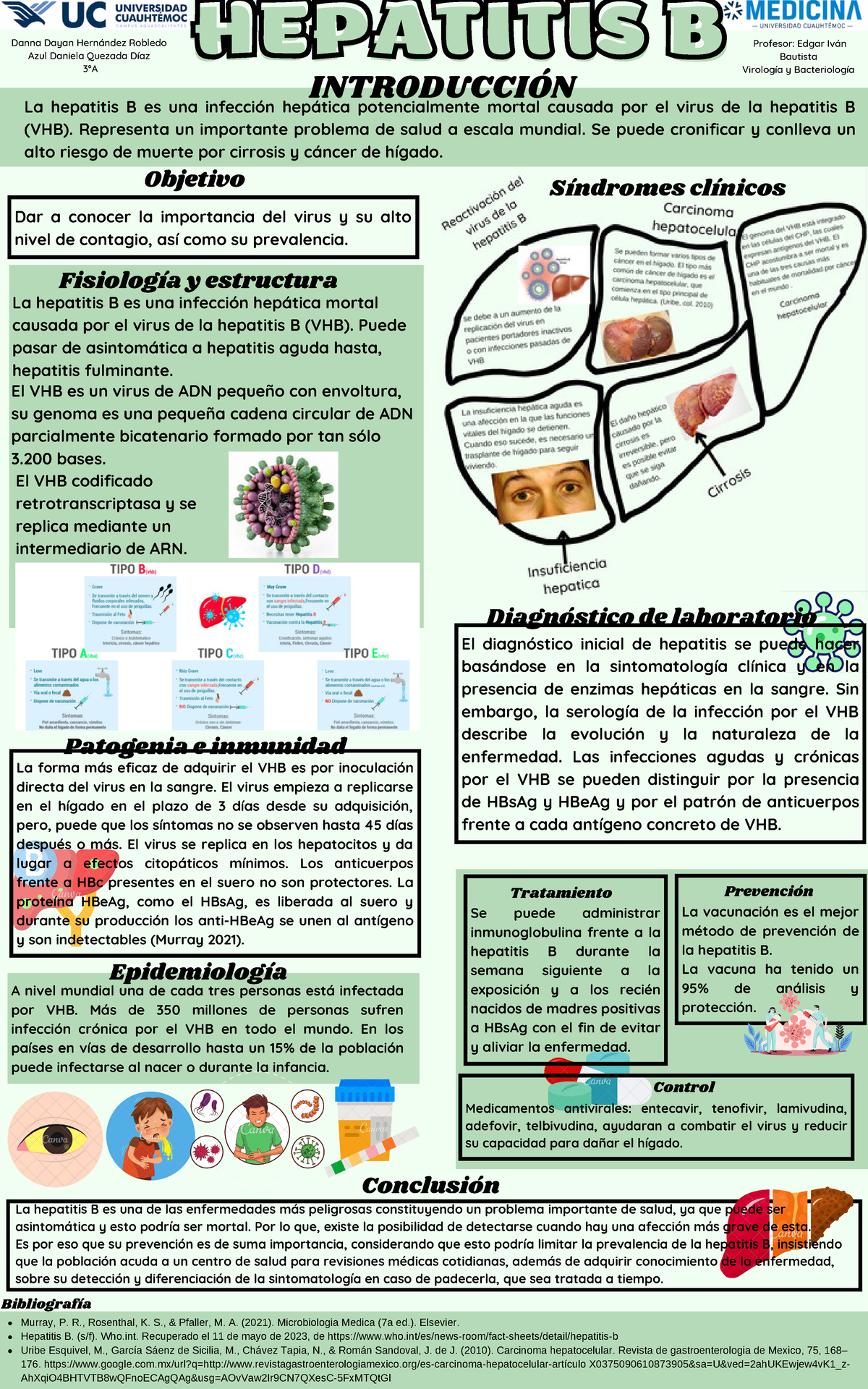 Cartel Hepatitis B - Dar A Conocer La Importancia Del Virus Y Su Alto ...