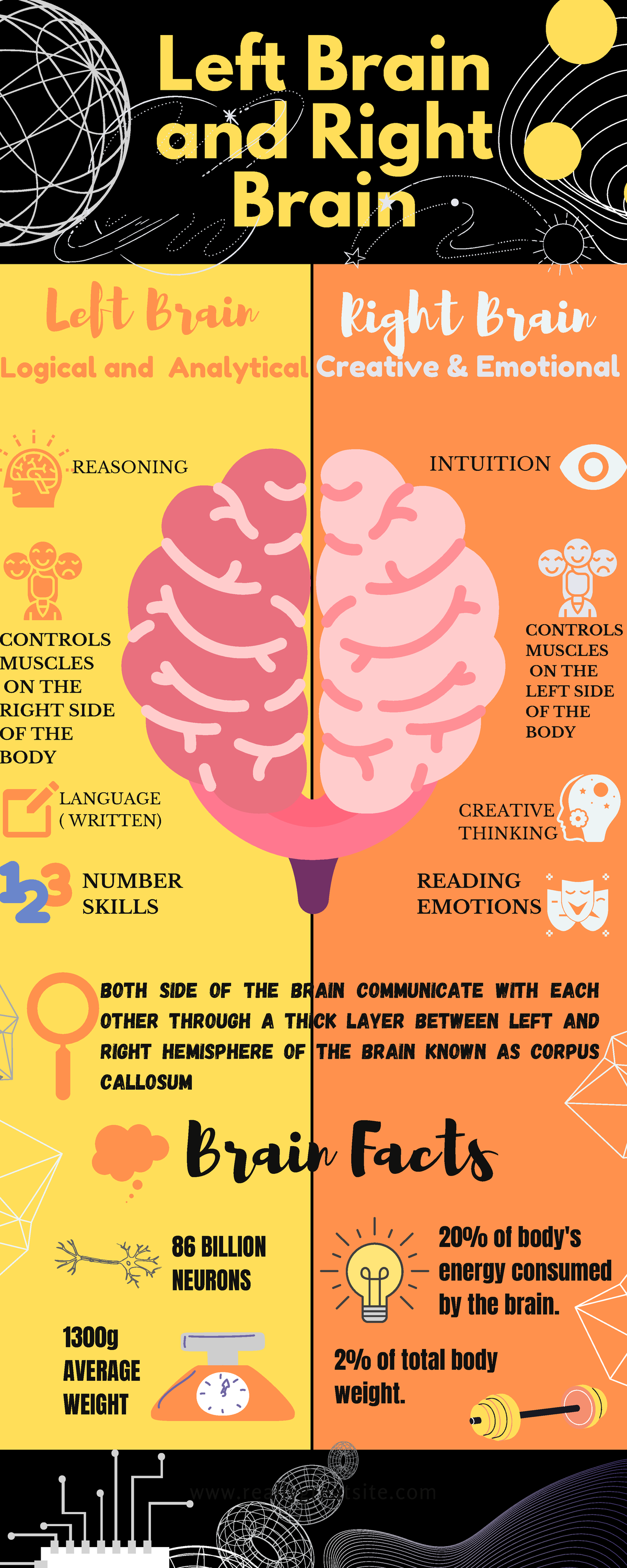 logical-analytical-side-1-left-brain-and-right-brain-left-brain-right