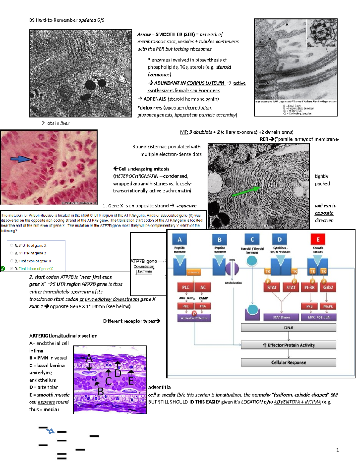 99211452 Basic Science quick facts step1 BS HardtoRemember updated 6/ Arrow