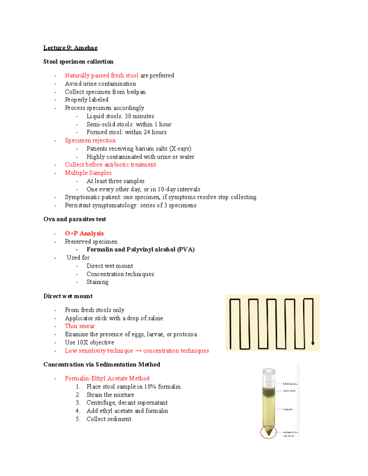 Lecture 9 Amebae-2 - Lecture 9: Amebae Stool specimen collection ...