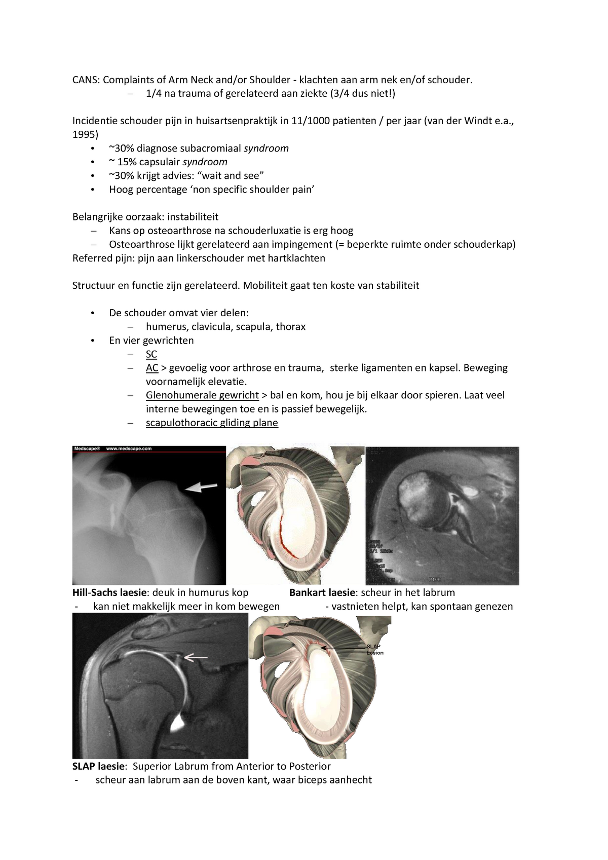 Samenvatting Pathologie Van Het Bewegen (B_PATHOLOGIE): College(s ...