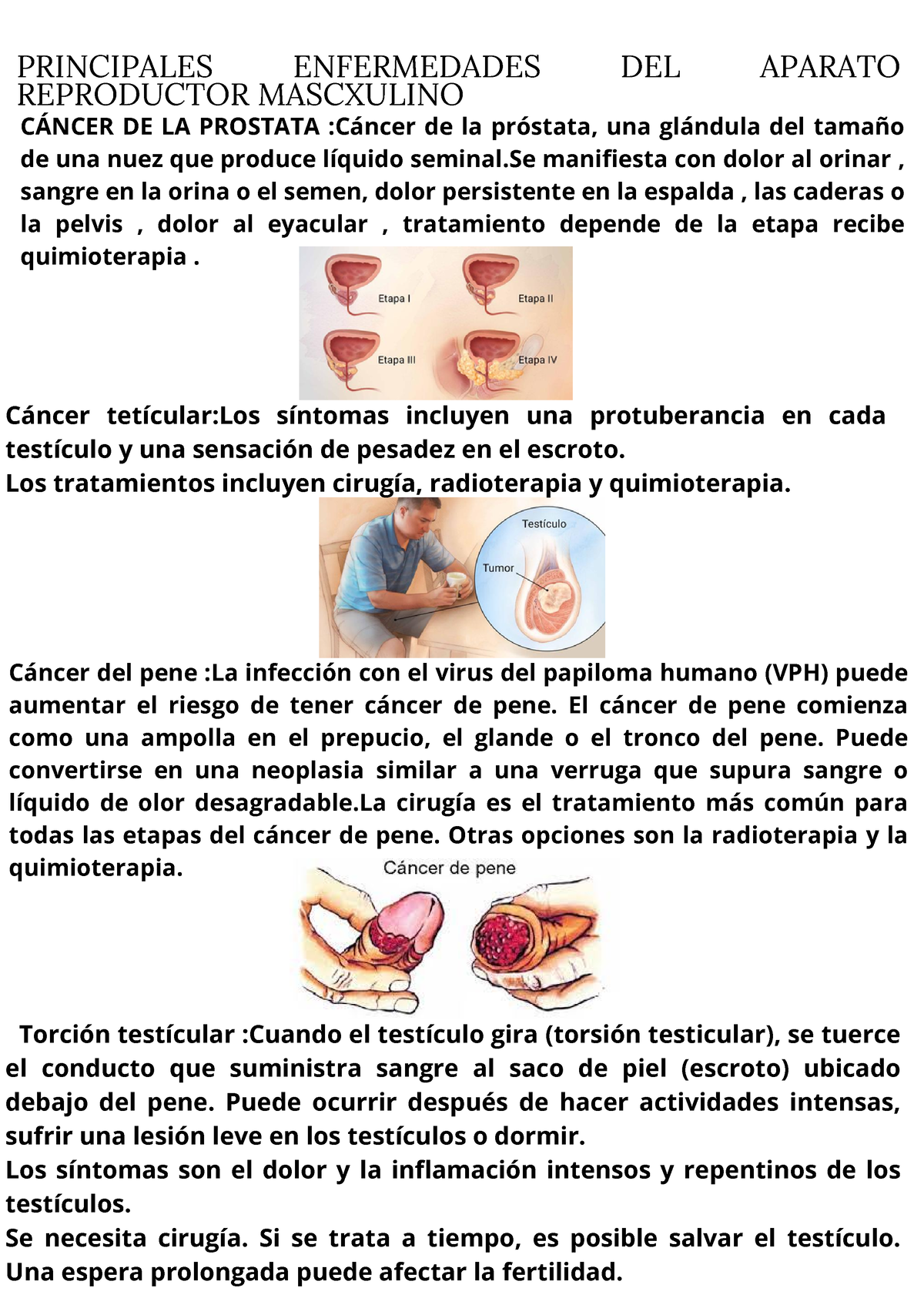 emfermedades sexuales - PRINCIPALES ENFERMEDADES DEL APARATO REPRODUCTOR  MASCXULINO CÁNCER DE LA - Studocu