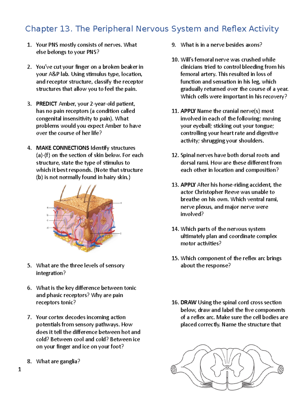 Chapter 13. Practice Questions - Chapter 13. The Peripheral Nervous ...