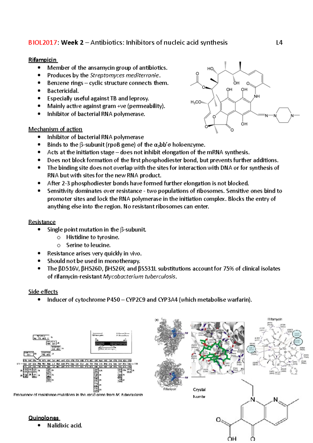 Nucleic Acid synthesis inhibitors BIOL2017 Week 2 Antibiotics