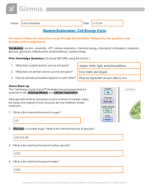 Guided Notes Anaerobic And Aerobic Cellular Respiration - Name