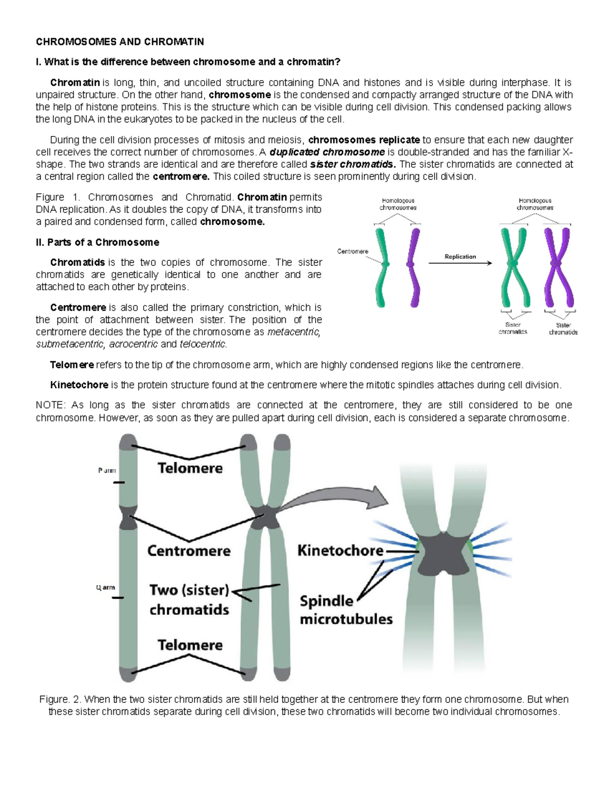 CHROMOSOMES AND CHROMATIN - What is the difference between chromosome ...