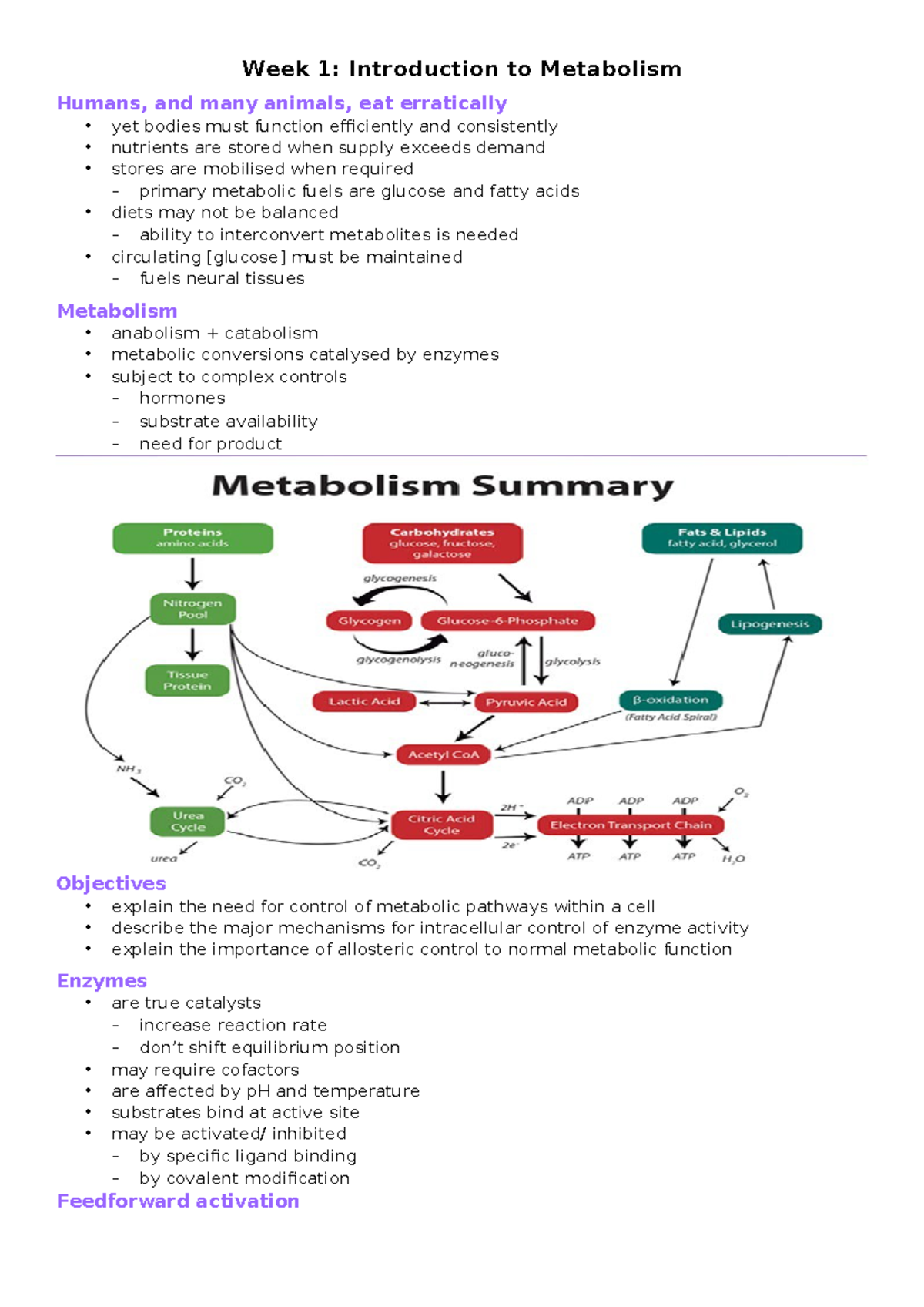 Week 1 - week 1 lecture - Week 1: Introduction to Metabolism Humans ...
