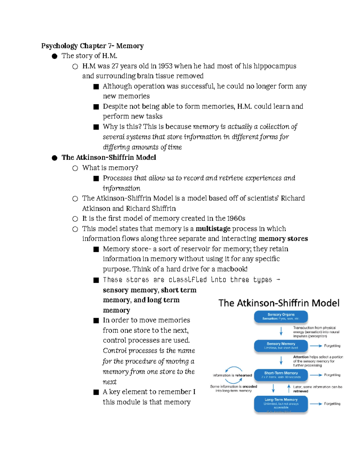 Exam notes - Psychology Chapter 7- Memory The story of H. H was 27 ...