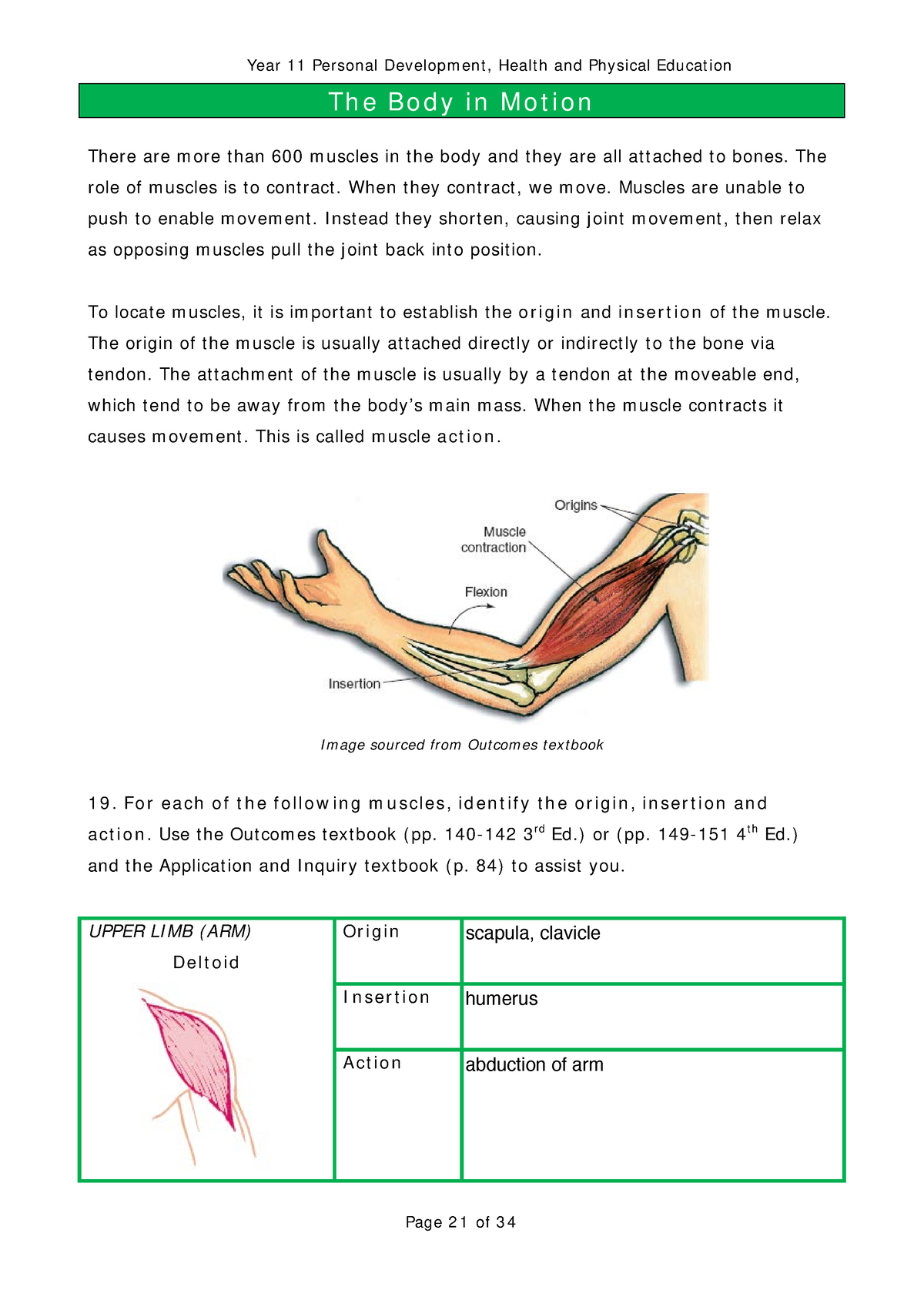 01 Core 2 - Part 1 - The Skeletal And Muscular Systems-part-18 - Th E ...