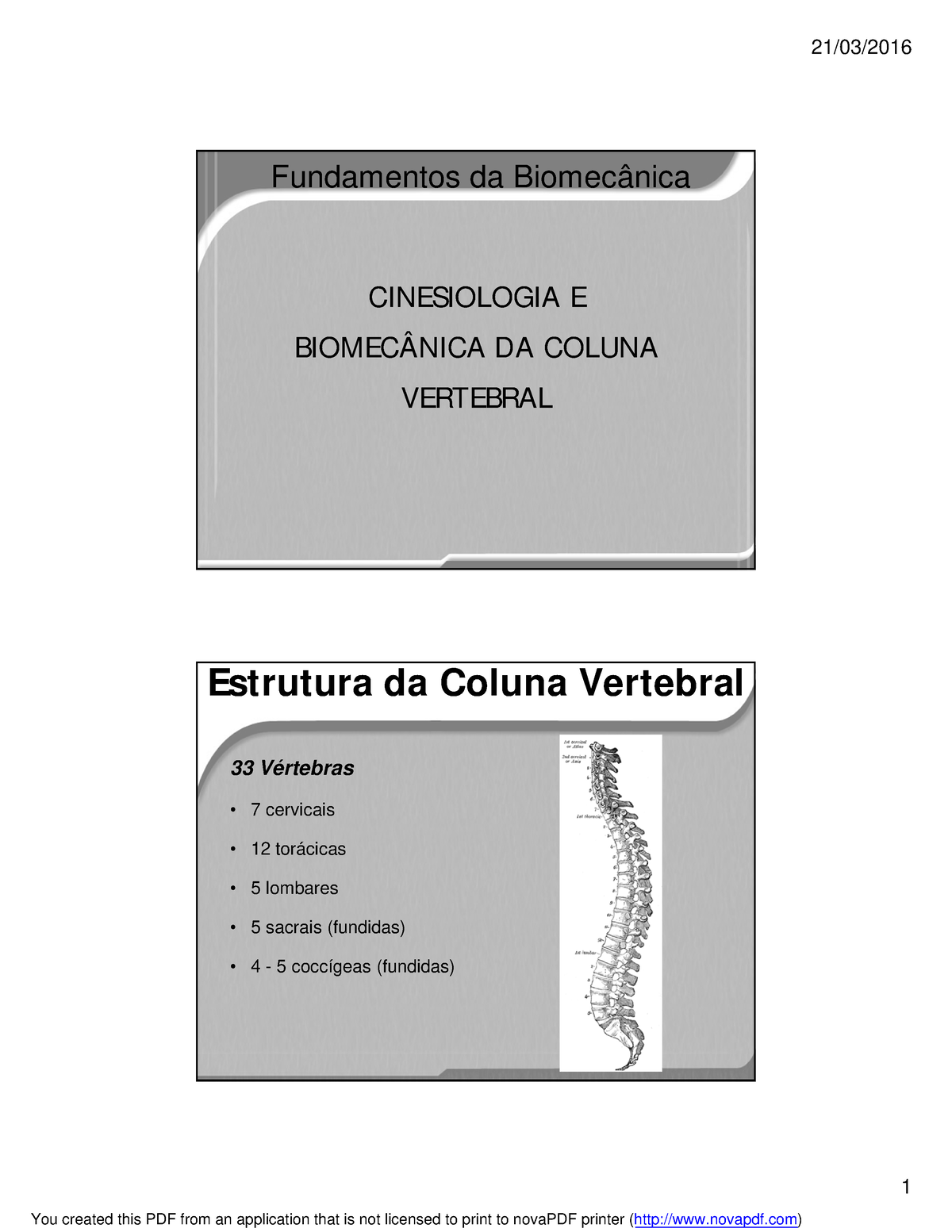 Biomecanica E Cinesiologia Da Coluna Vertebral - 1 Fundamentos Da ...