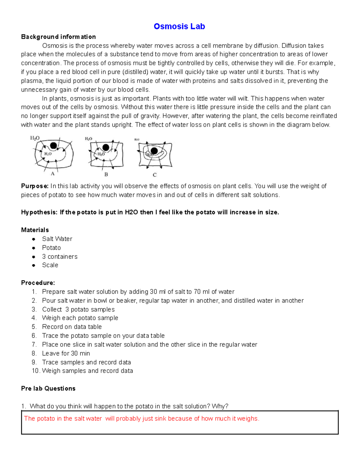 Adan Bravo - Osmosis Potato Lab - Osmosis Lab Background information ...