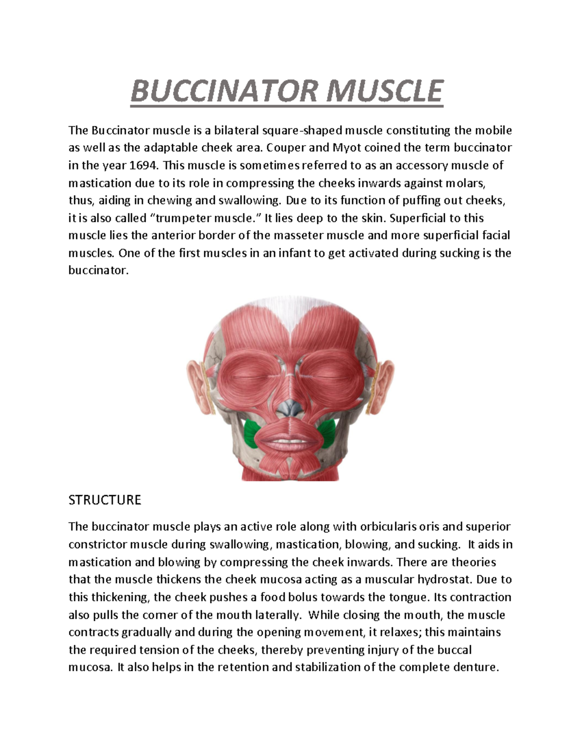 Buccinator Muscle Couper and Myot coined the term buccinator in the