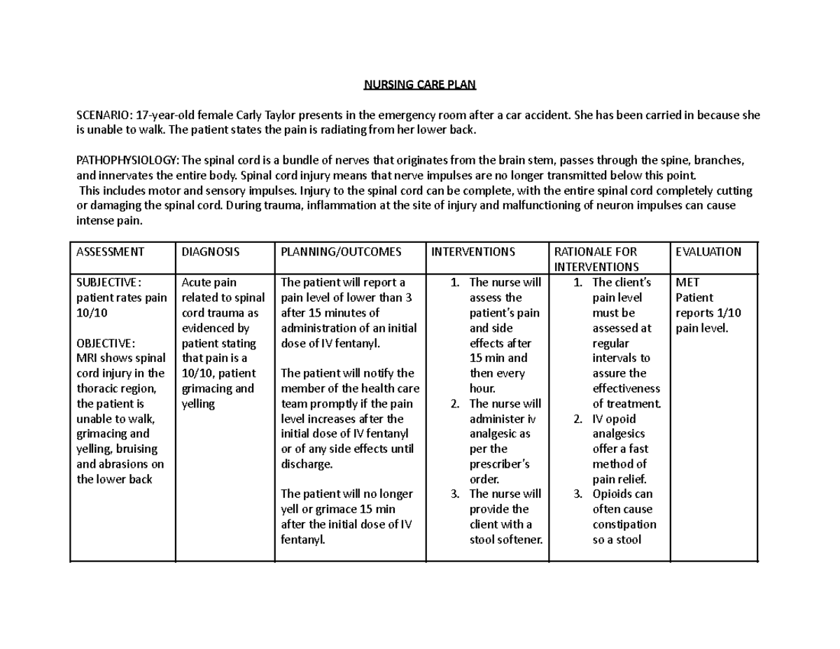 nursing-care-plan-acute-pain-sci-nursing-care-plan-scenario-17-year