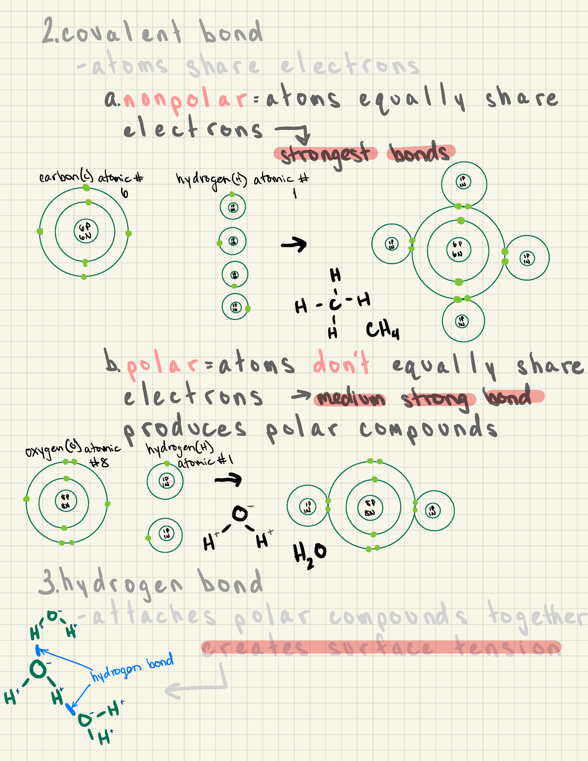 Anatomy and physiology 1 - 2 bond share electrons anonpolarzatoms ...