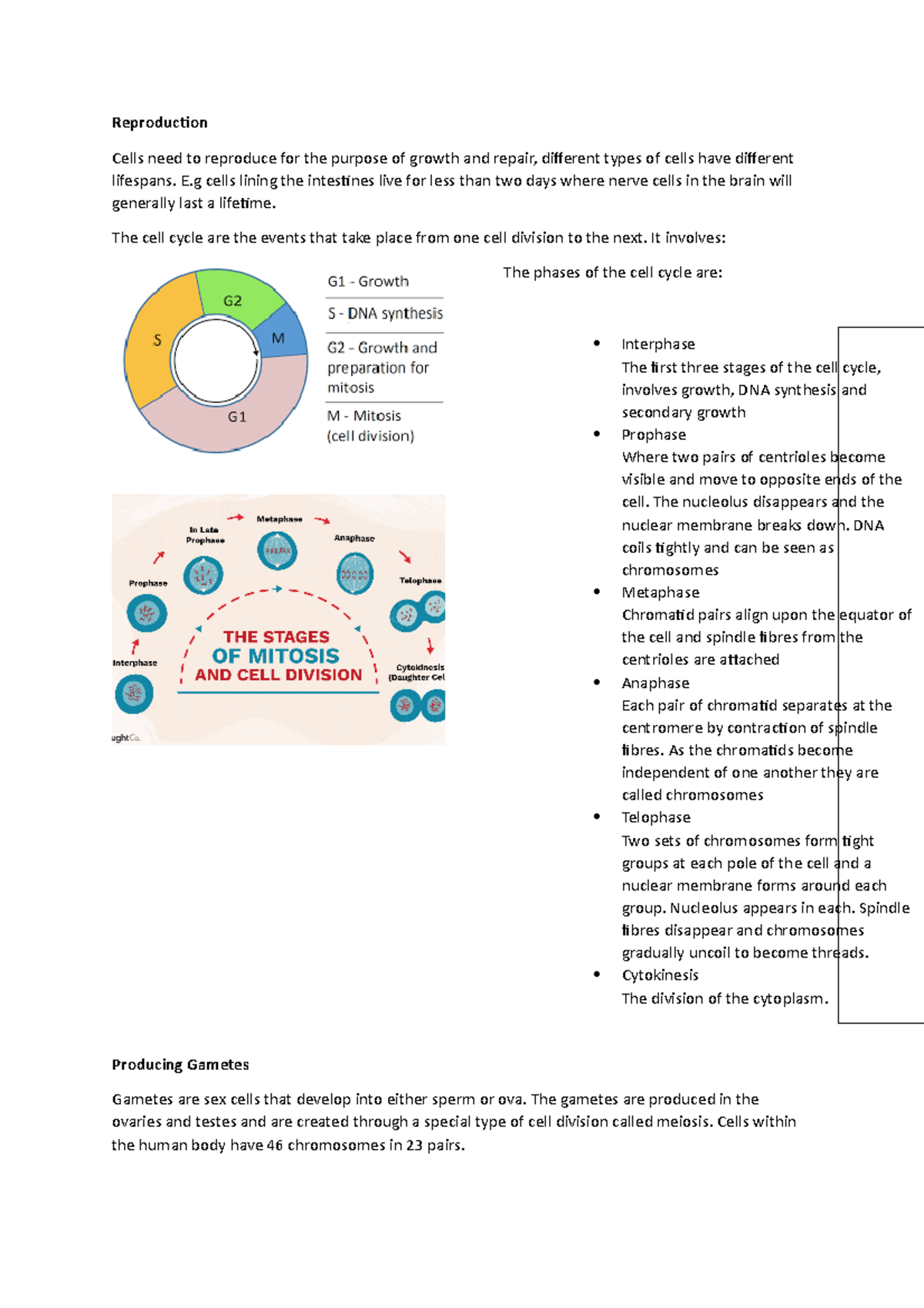 Reproduction Notes - basic understanding of reproduciotn - Reproduction ...